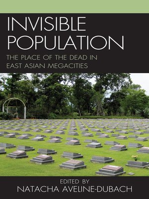 cover image of Invisible Population